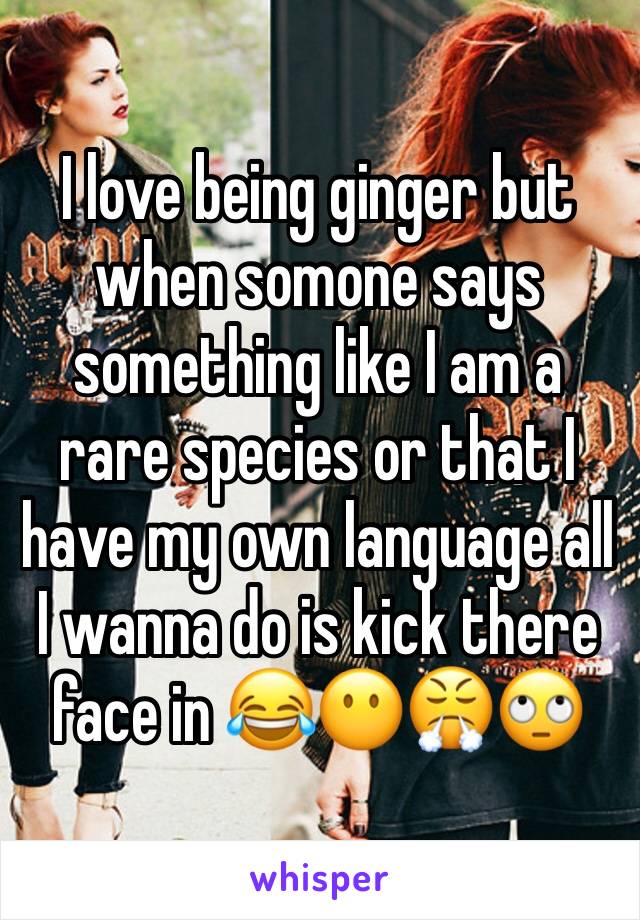 I love being ginger but when somone says something like I am a rare species or that I have my own language all I wanna do is kick there face in 😂😶😤🙄