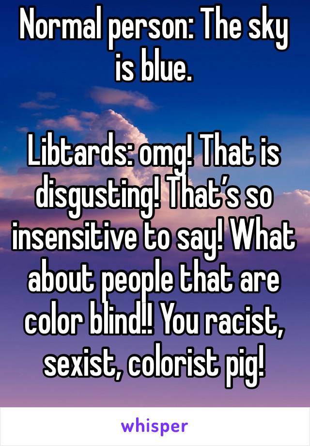 Normal person: The sky is blue.

Libtards: omg! That is disgusting! That’s so insensitive to say! What about people that are color blind!! You racist, sexist, colorist pig!