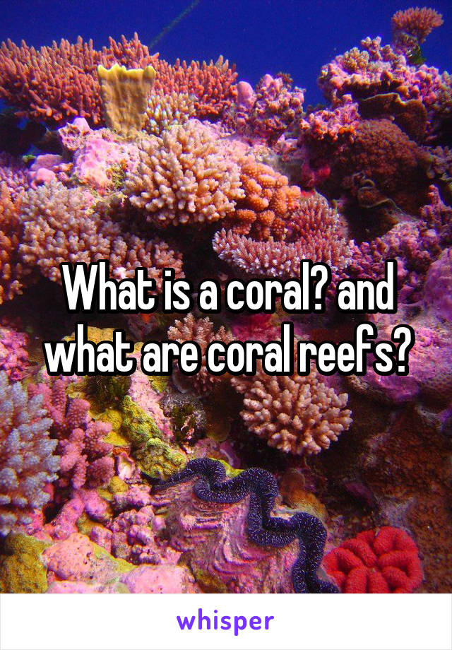 What is a coral? and what are coral reefs?