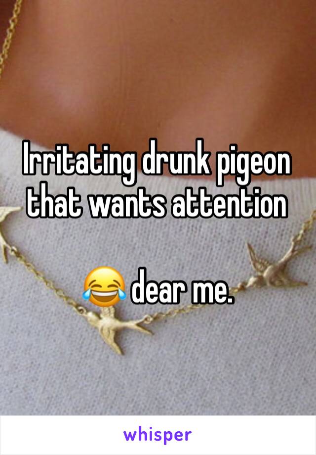 Irritating drunk pigeon that wants attention 

😂 dear me. 