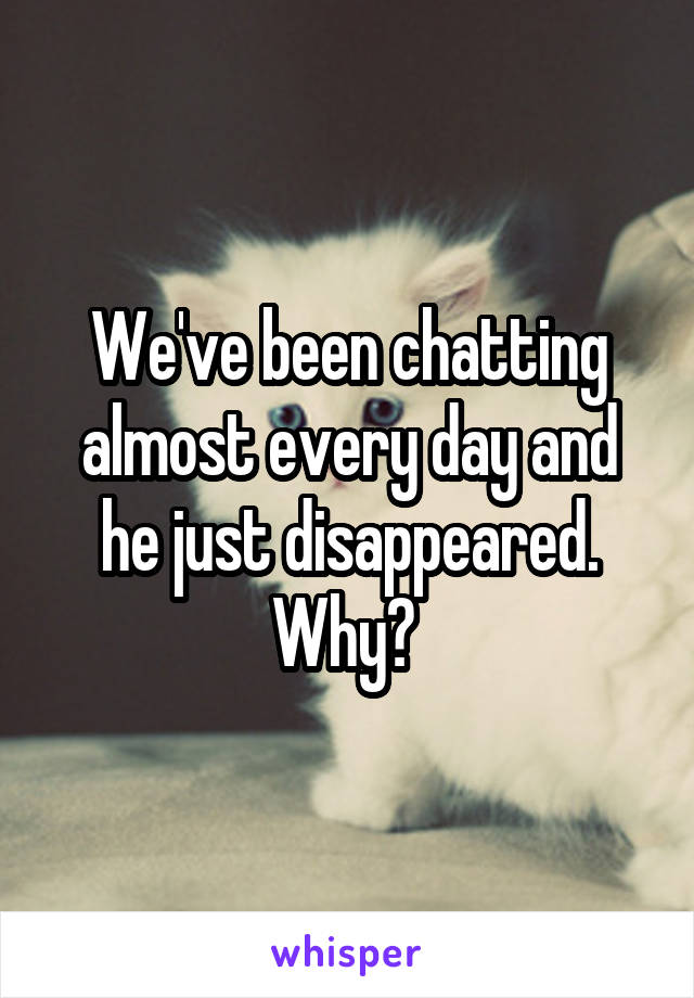 We've been chatting almost every day and he just disappeared. Why? 