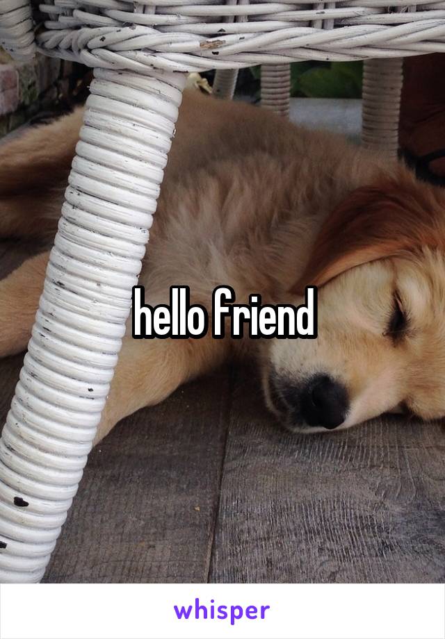 hello friend