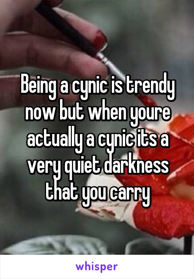 Being a cynic is trendy now but when youre actually a cynic its a very quiet darkness that you carry
