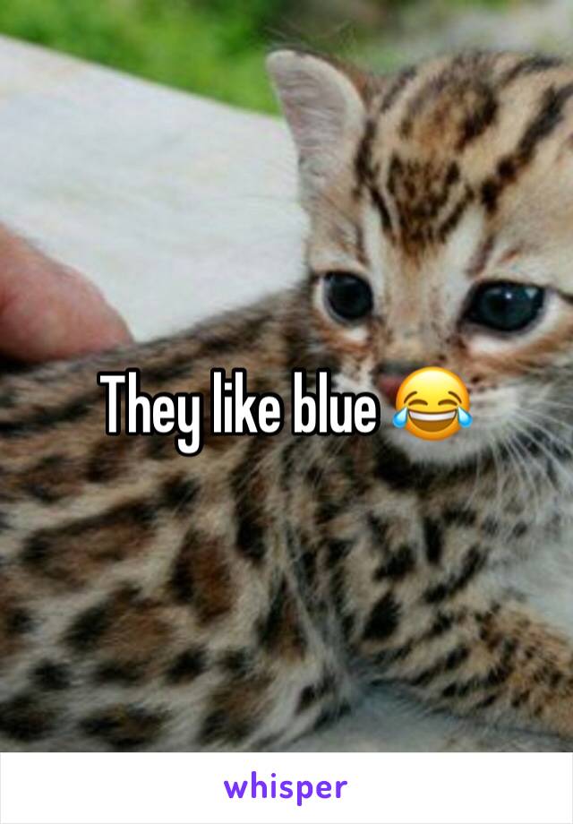 They like blue 😂