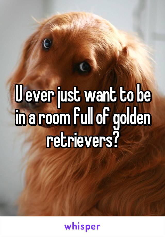 U ever just want to be in a room full of golden retrievers?
