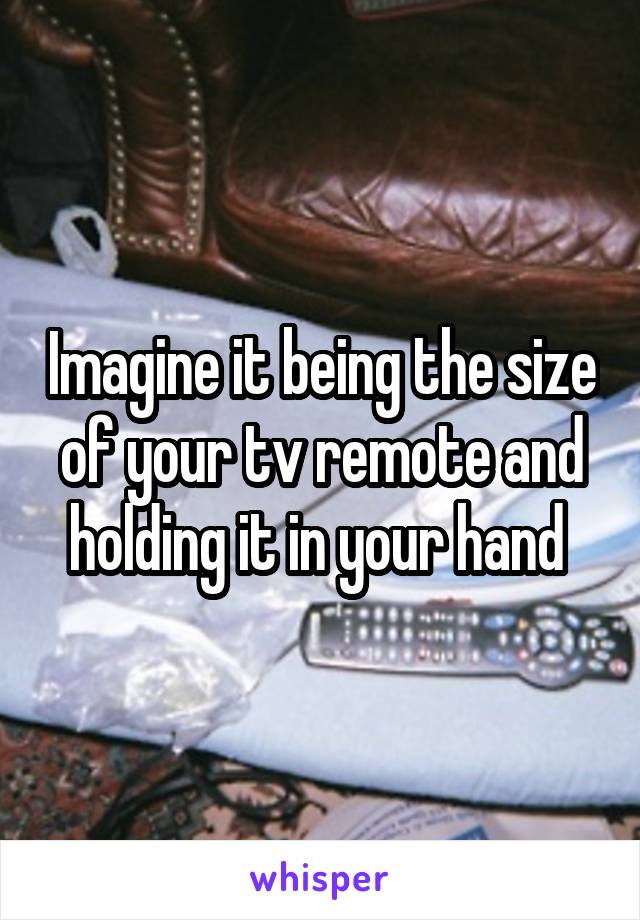Imagine it being the size of your tv remote and holding it in your hand 