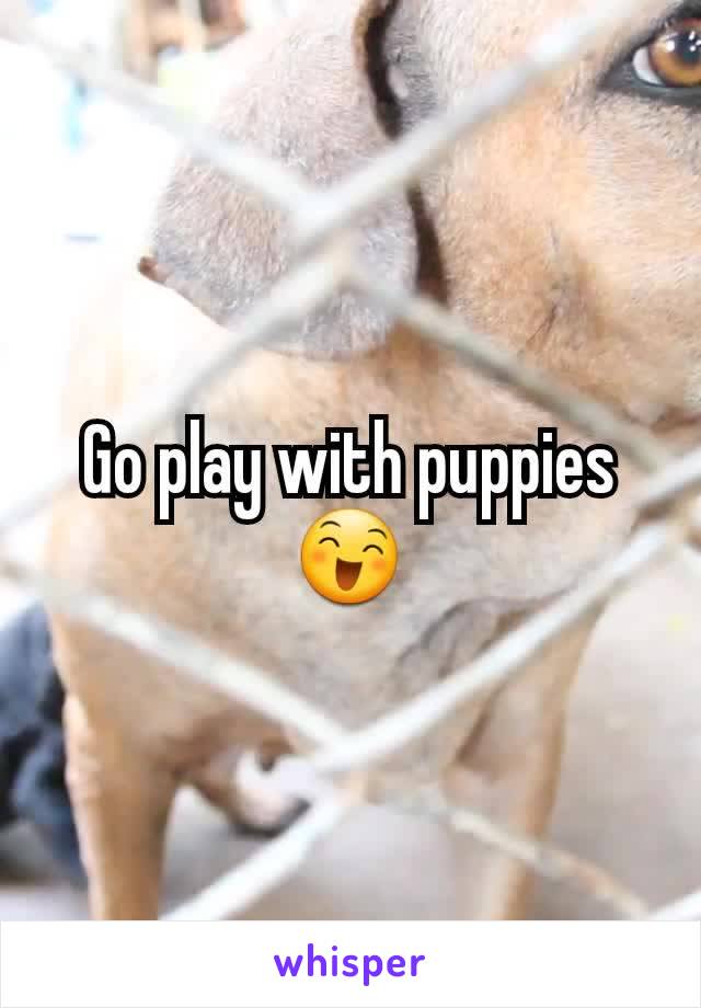 Go play with puppies 😄