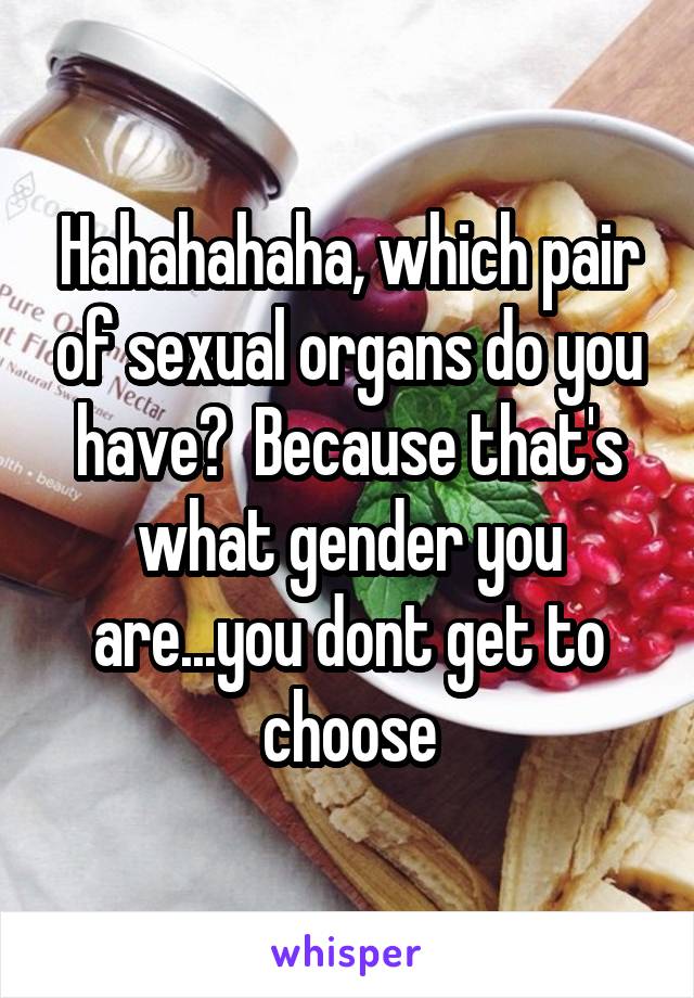 Hahahahaha, which pair of sexual organs do you have?  Because that's what gender you are...you dont get to choose