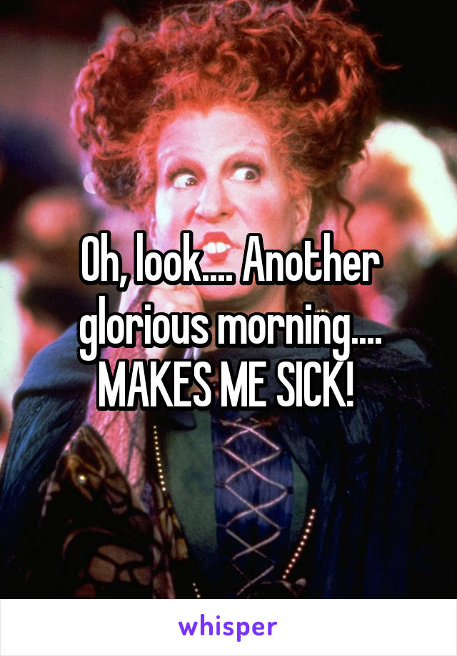 Oh, look.... Another glorious morning.... MAKES ME SICK! 