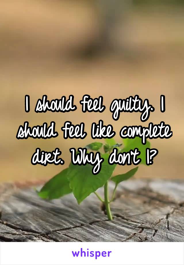 I should feel guilty. I should feel like complete dirt. Why don't I?