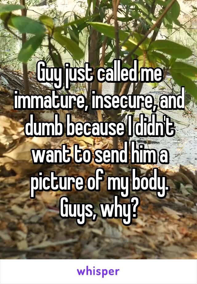 Guy just called me immature, insecure, and dumb because I didn't want to send him a picture of my body.
Guys, why?