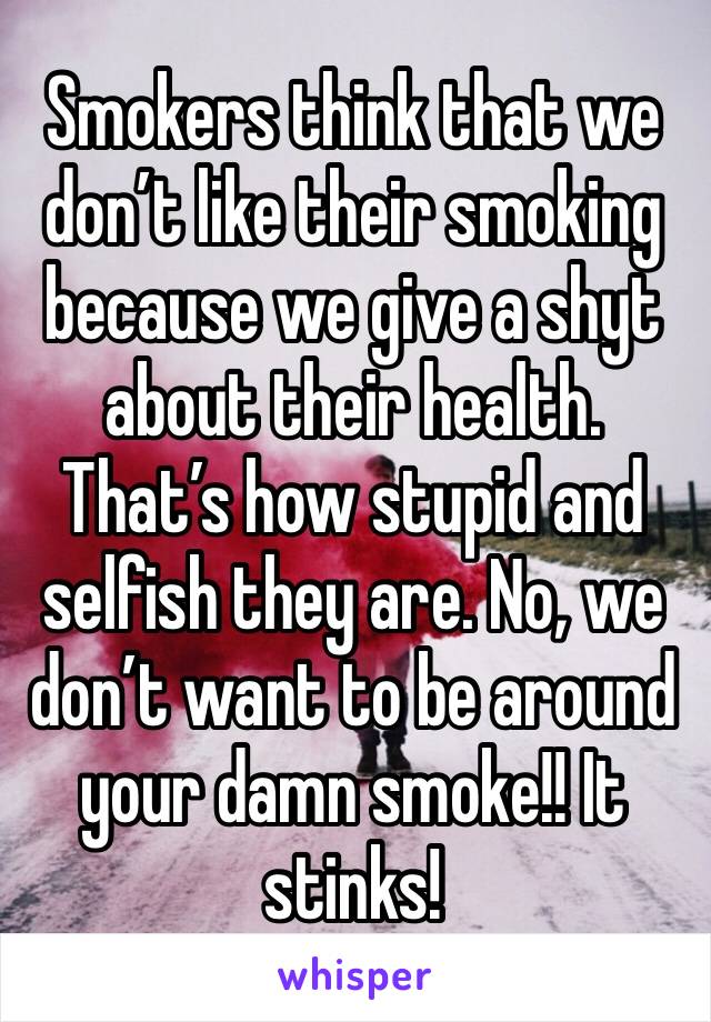 Smokers think that we don’t like their smoking because we give a shyt about their health. That’s how stupid and selfish they are. No, we don’t want to be around your damn smoke!! It stinks!