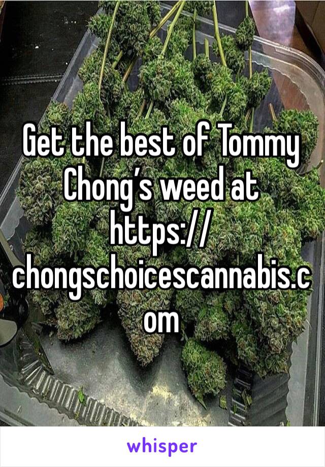 Get the best of Tommy Chong’s weed at 
https://chongschoicescannabis.com