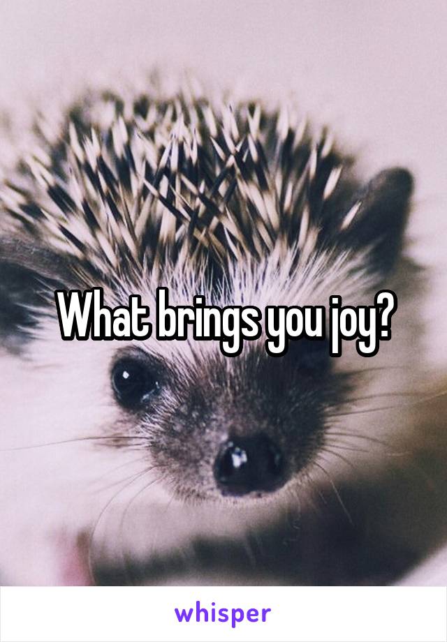 What brings you joy?