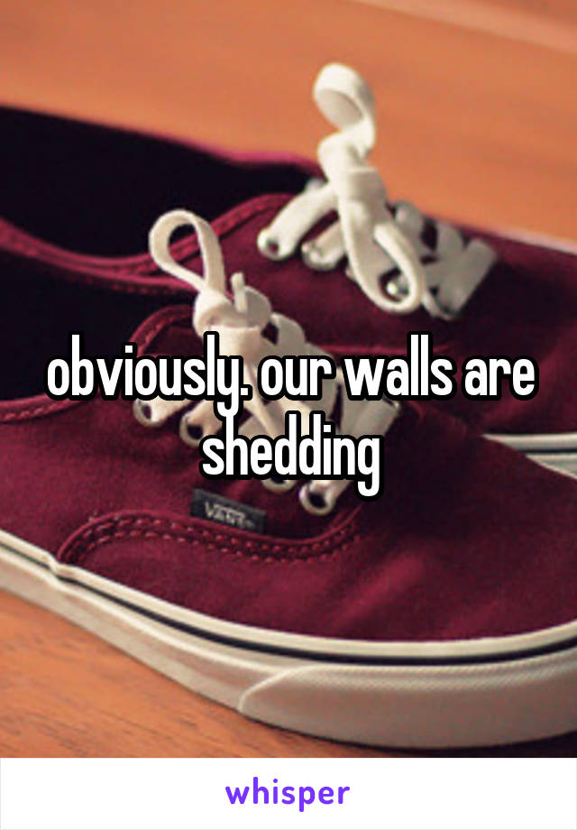 obviously. our walls are shedding