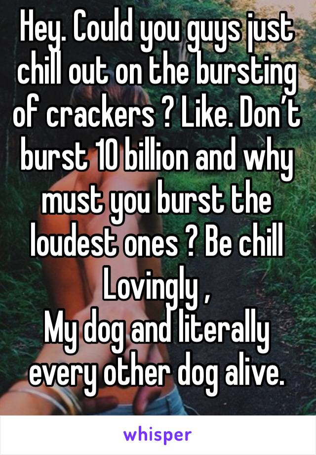 Hey. Could you guys just chill out on the bursting of crackers ? Like. Don’t burst 10 billion and why must you burst the loudest ones ? Be chill
Lovingly ,
My dog and literally every other dog alive. 