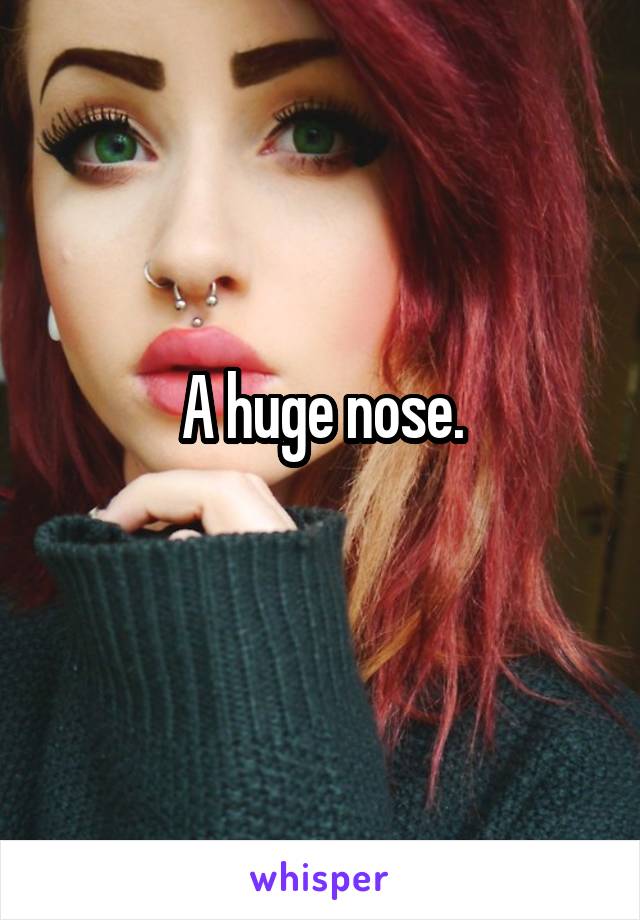 A huge nose.
