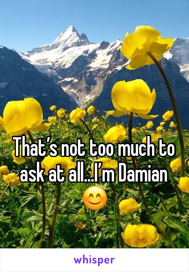 That’s not too much to ask at all…I’m Damian 😊