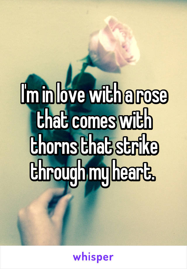 I'm in love with a rose that comes with thorns that strike through my heart. 