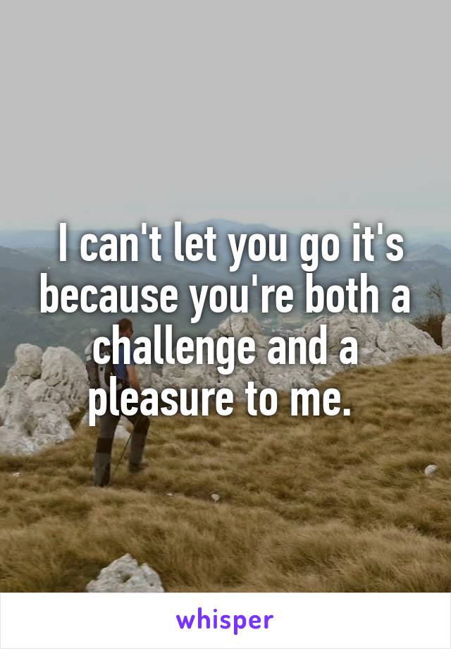  I can't let you go it's because you're both a challenge and a pleasure to me. 