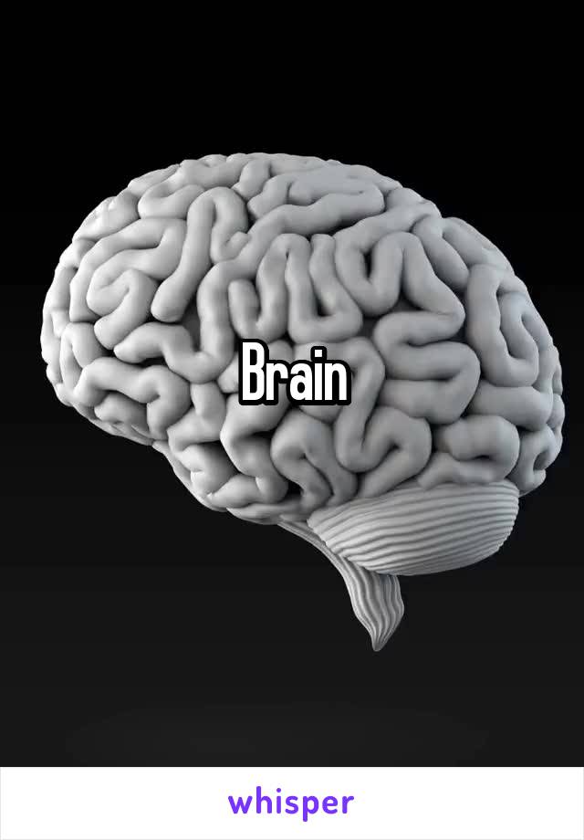 Brain
