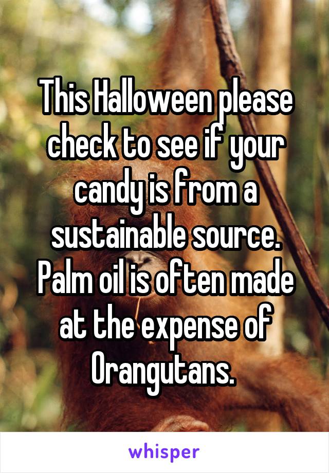 This Halloween please check to see if your candy is from a sustainable source. Palm oil is often made at the expense of Orangutans. 