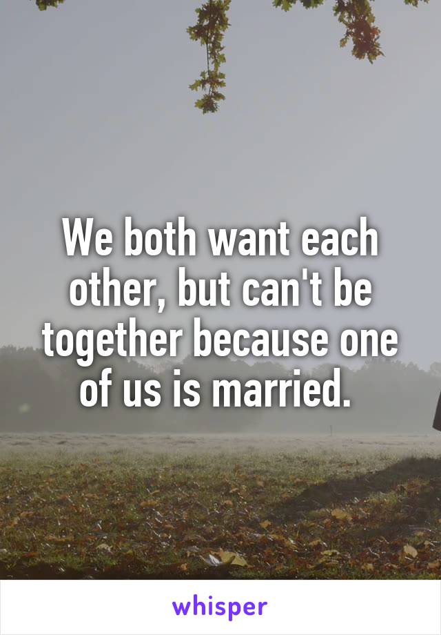 We both want each other, but can't be together because one of us is married. 