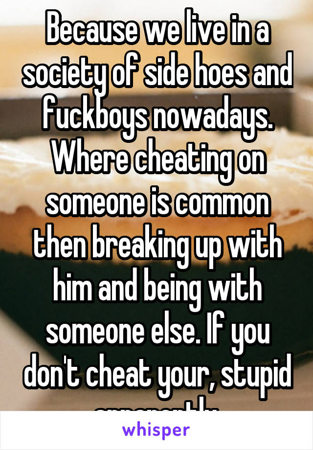 Because we live in a society of side hoes and fuckboys nowadays. Where cheating on someone is common then breaking up with him and being with someone else. If you don't cheat your, stupid apparently.