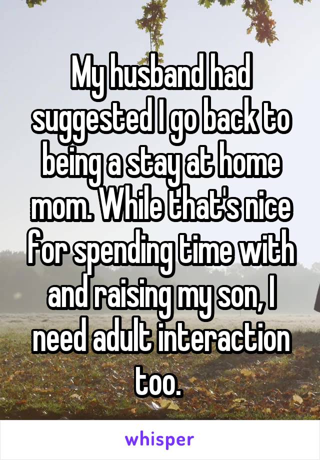 My husband had suggested I go back to being a stay at home mom. While that's nice for spending time with and raising my son, I need adult interaction too. 