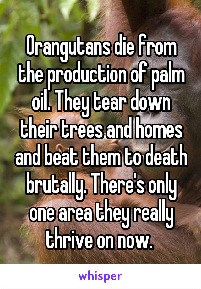 Orangutans die from the production of palm oil. They tear down their trees and homes and beat them to death brutally. There's only one area they really thrive on now. 