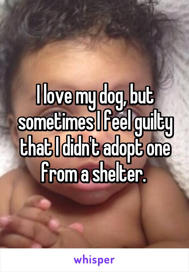I love my dog, but sometimes I feel guilty that I didn't adopt one from a shelter. 
