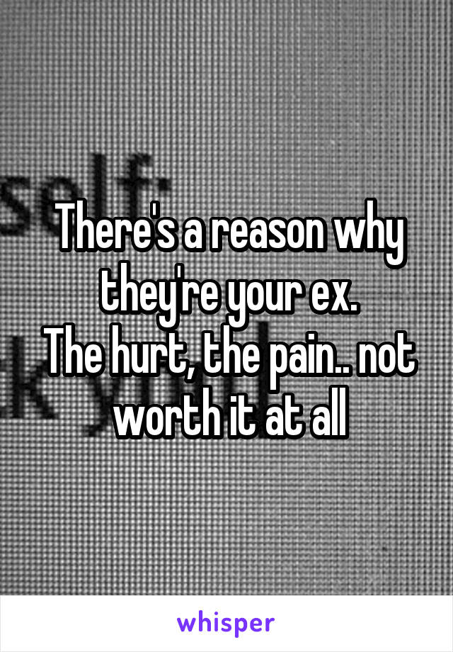 There's a reason why they're your ex.
The hurt, the pain.. not worth it at all