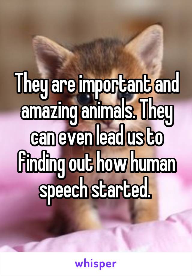 They are important and amazing animals. They can even lead us to finding out how human speech started. 