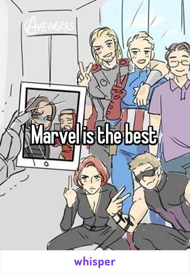 Marvel is the best 
