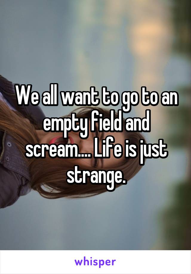 We all want to go to an empty field and scream.... Life is just strange.