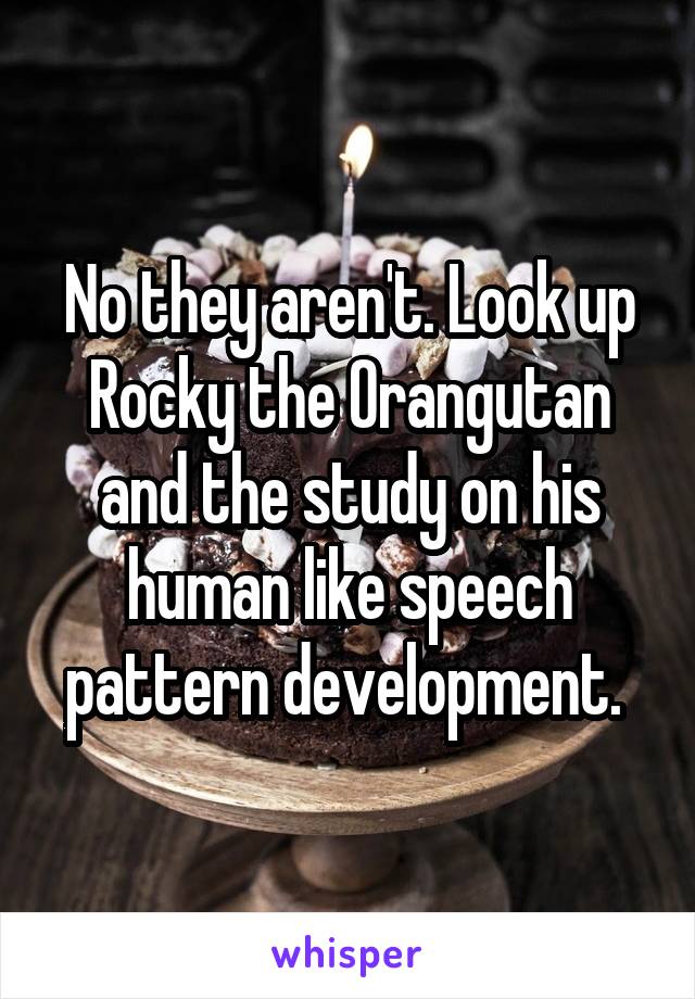 No they aren't. Look up Rocky the Orangutan and the study on his human like speech pattern development. 