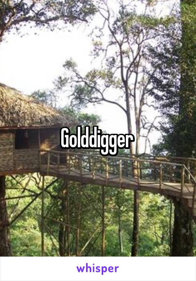 Golddigger 