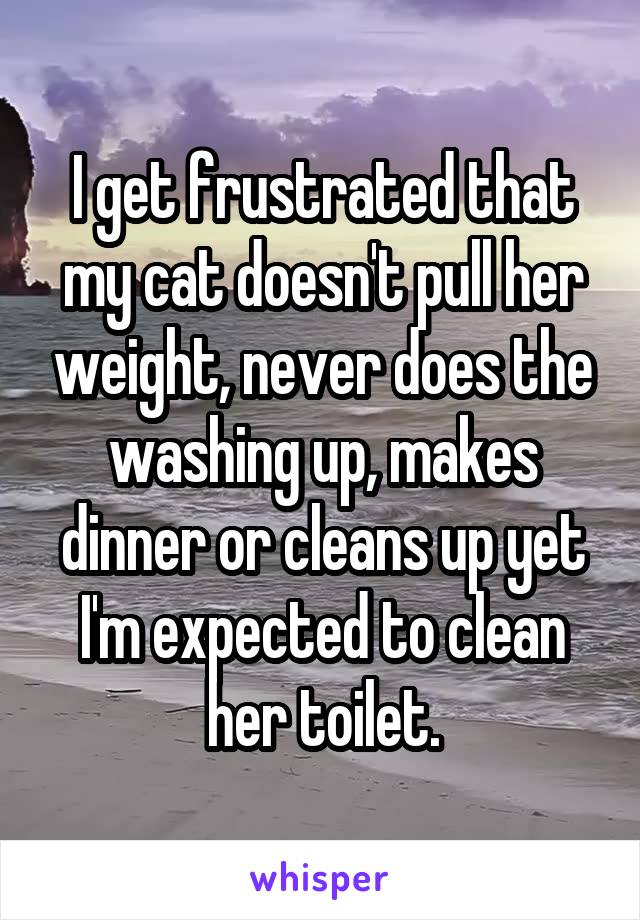 I get frustrated that my cat doesn't pull her weight, never does the washing up, makes dinner or cleans up yet I'm expected to clean her toilet.