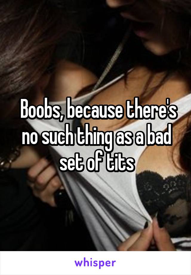  Boobs, because there's no such thing as a bad set of tits