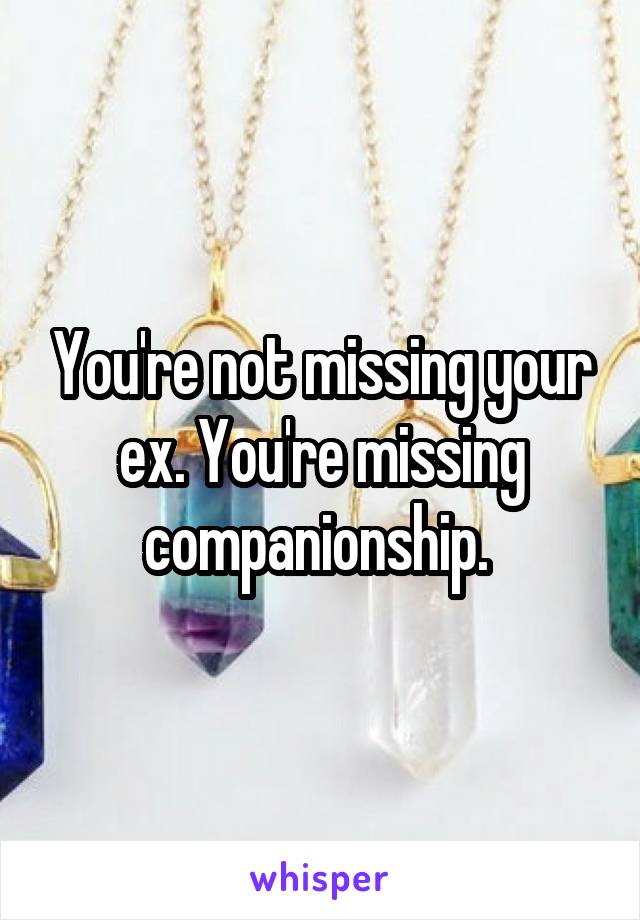 You're not missing your ex. You're missing companionship. 