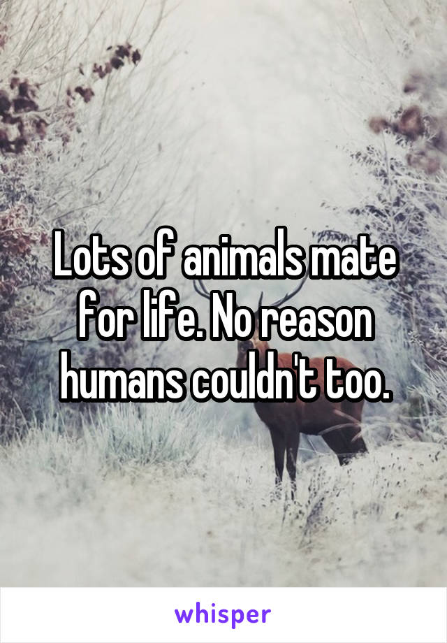 Lots of animals mate for life. No reason humans couldn't too.