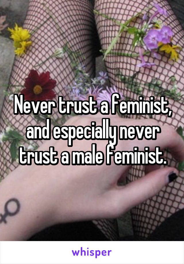 Never trust a feminist, and especially never trust a male feminist.