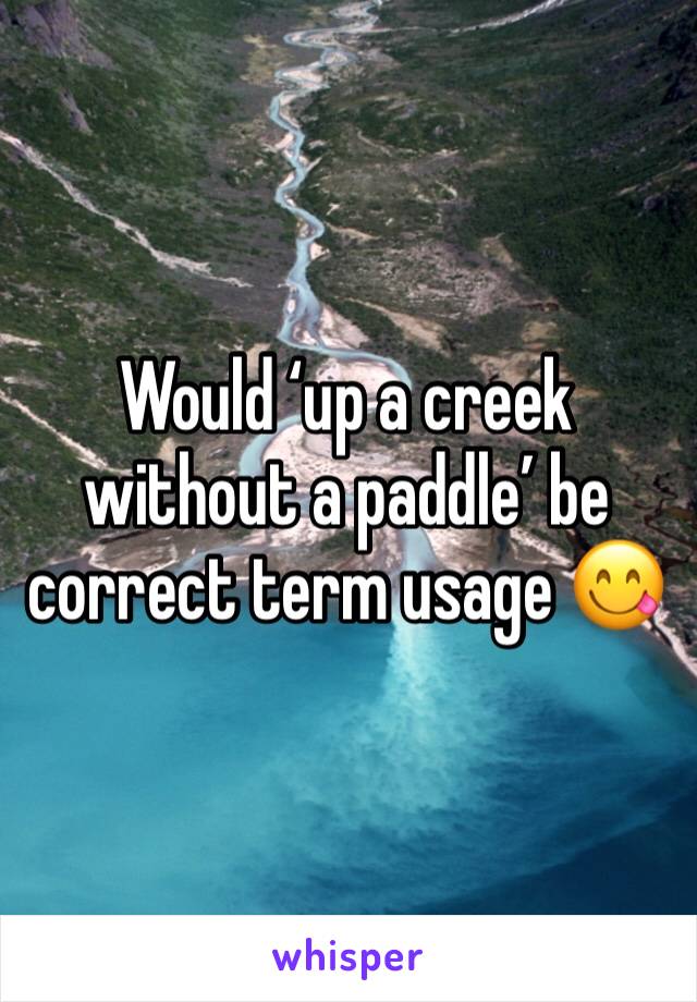 Would ‘up a creek without a paddle’ be correct term usage 😋