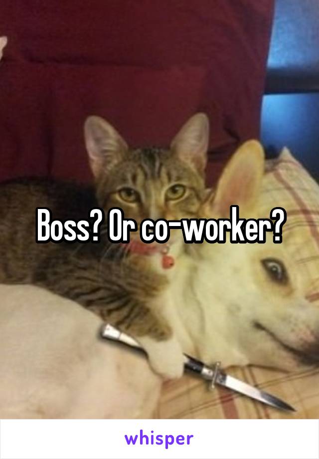 Boss? Or co-worker?