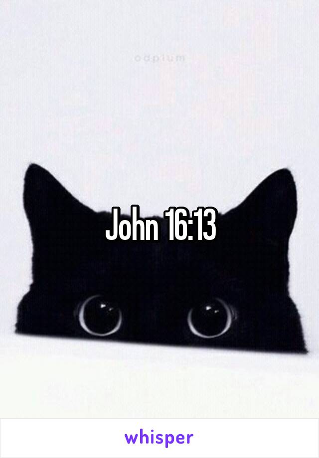 John 16:13