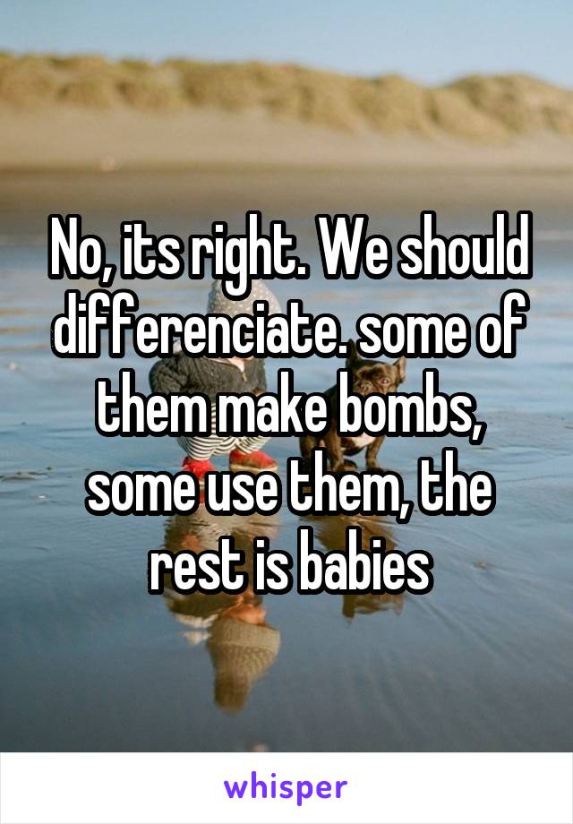 No, its right. We should differenciate. some of them make bombs, some use them, the rest is babies