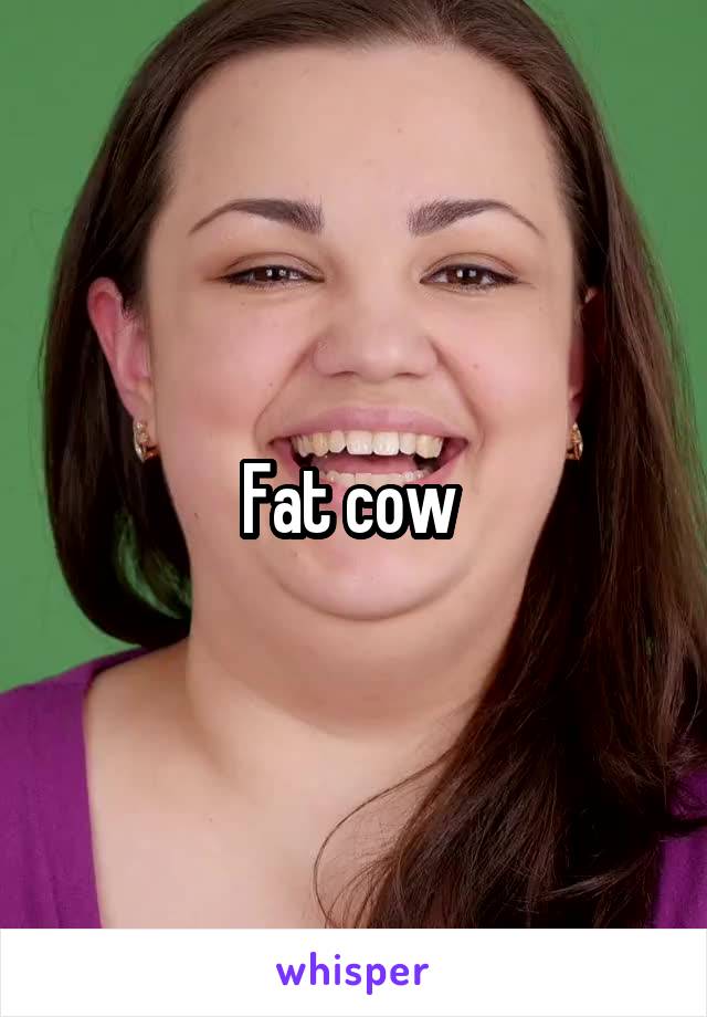 Fat cow 