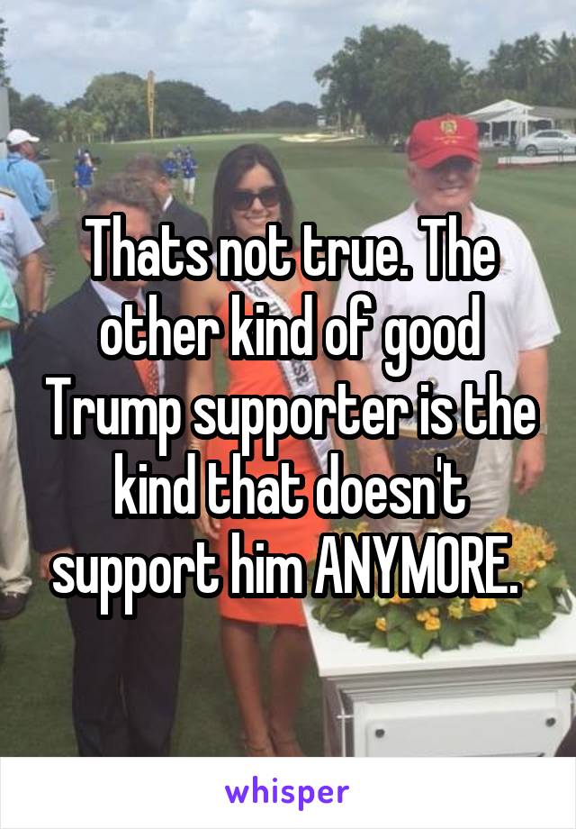 Thats not true. The other kind of good Trump supporter is the kind that doesn't support him ANYMORE. 
