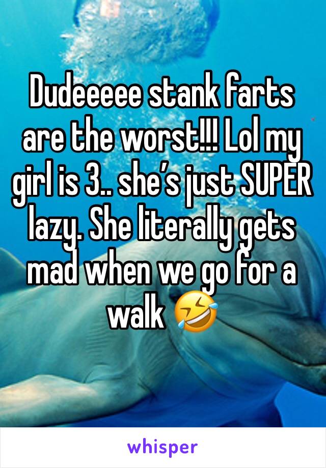Dudeeeee stank farts are the worst!!! Lol my girl is 3.. she’s just SUPER lazy. She literally gets mad when we go for a walk 🤣