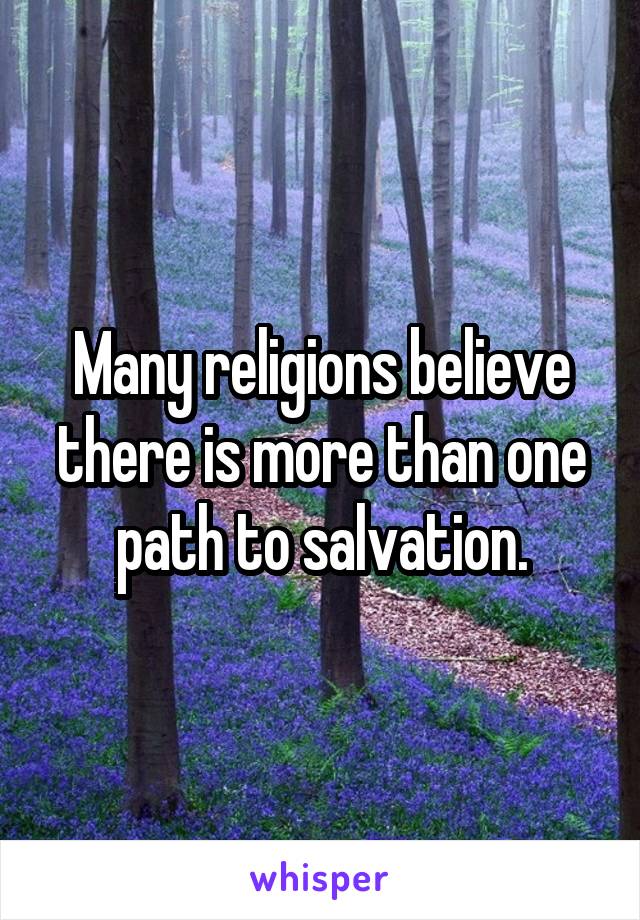 Many religions believe there is more than one path to salvation.